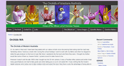 Desktop Screenshot of orchidswa.com.au